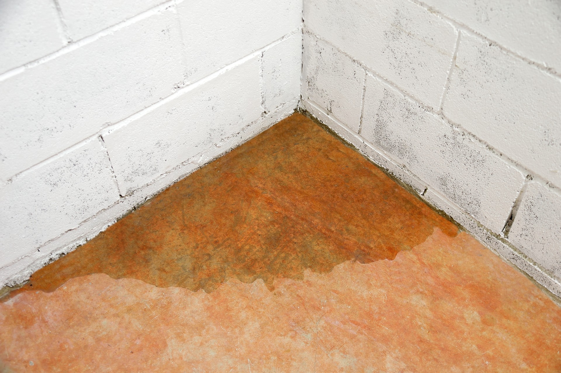 Wet floor from slab leak — water seeping through concrete